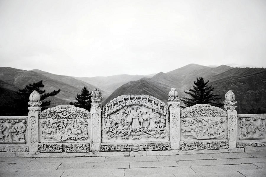 _DSC2528__.jpg
