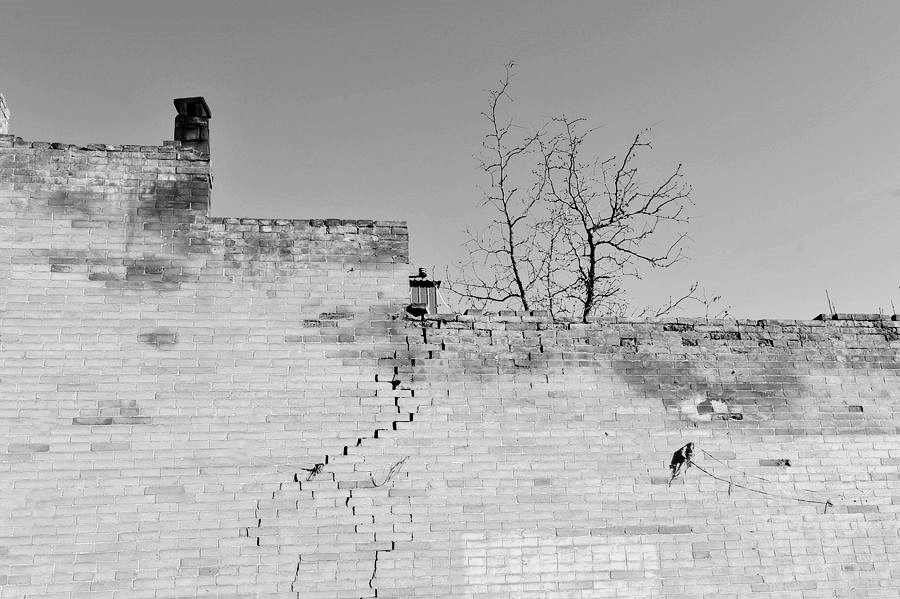 _DSC2686__.jpg