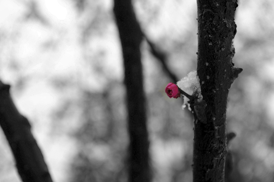 _DSC0357_ͼ_.jpg