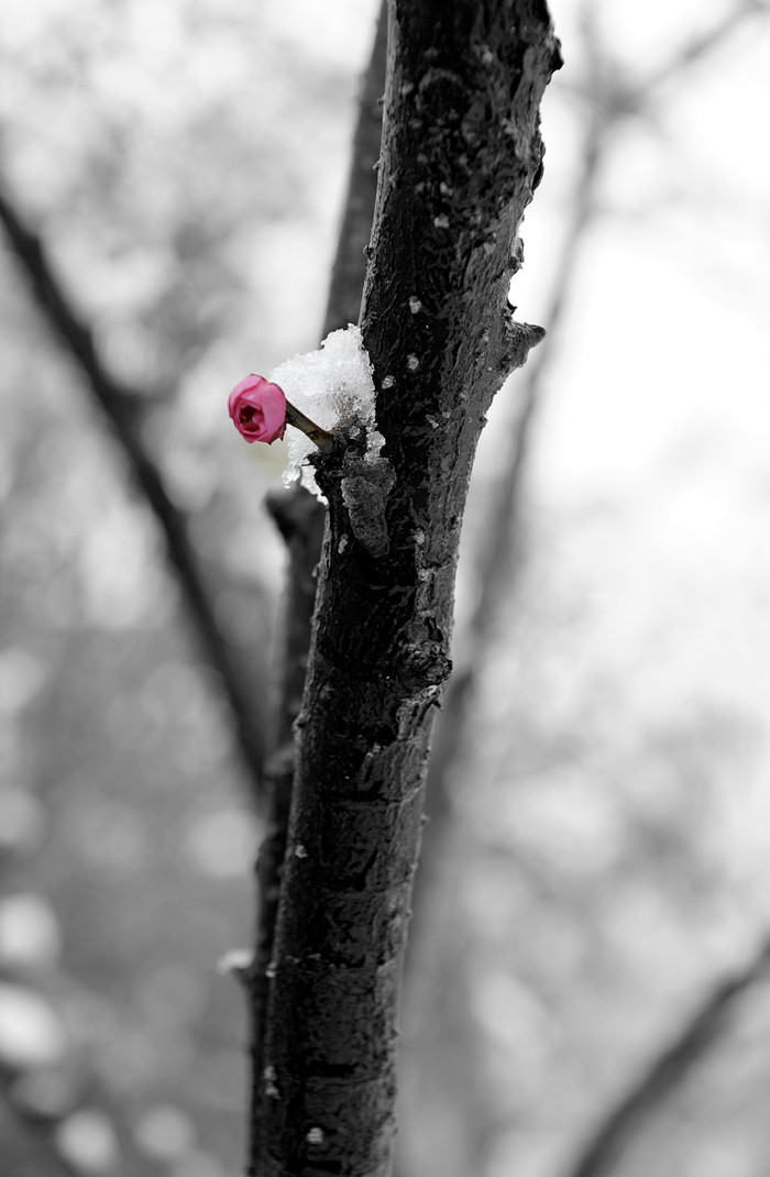 _DSC0358_ͼ_.jpg
