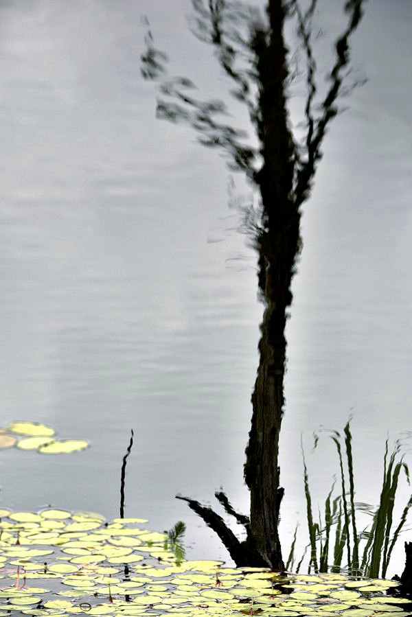 _DSC2620__.jpg