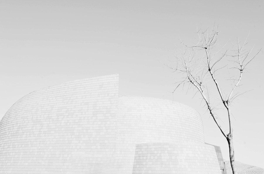 _DSC3272__.jpg