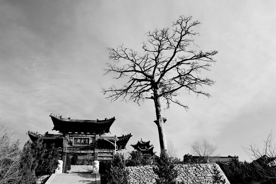 _DSC3452__.jpg