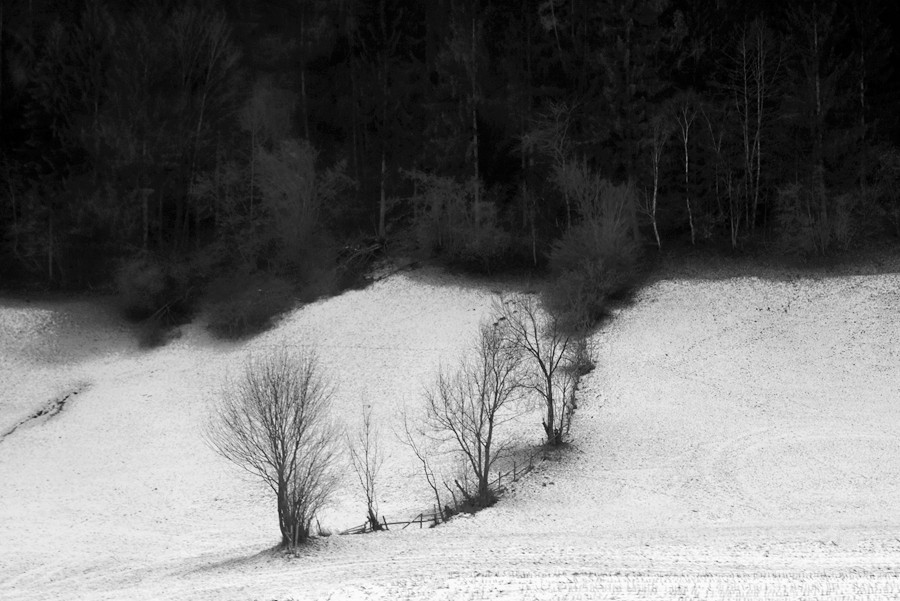 _DSC4073__.jpg
