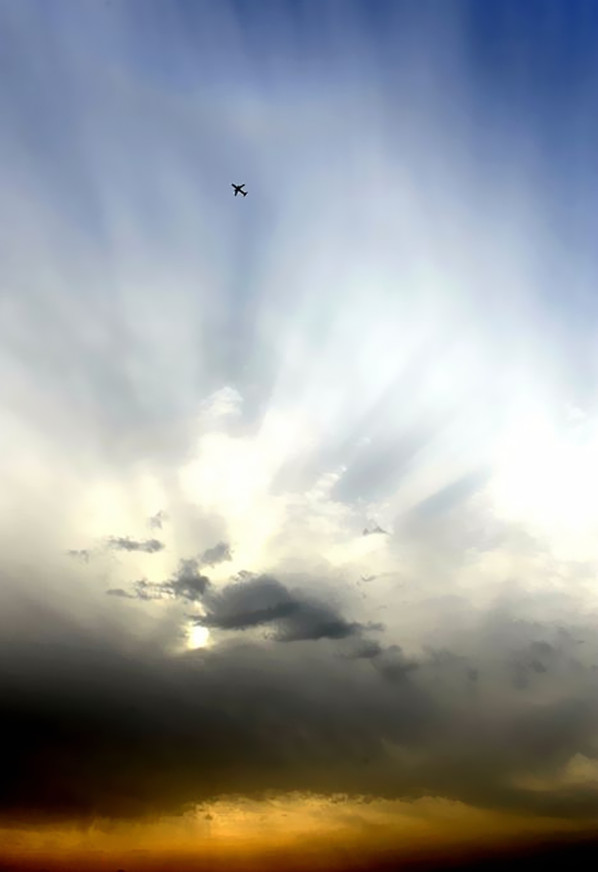 _DSC5150____.jpg