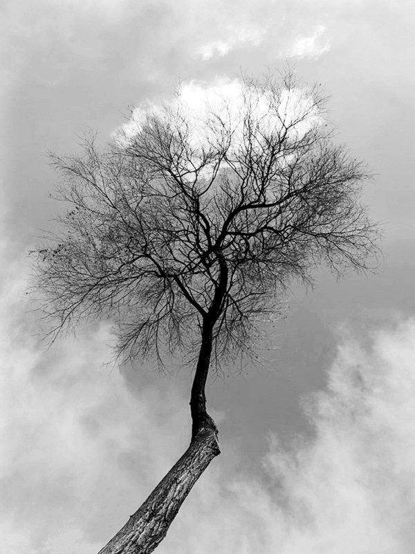_DSC2237____.jpg