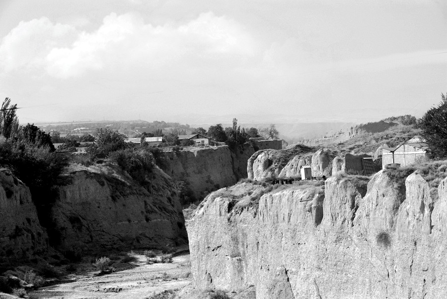 _DSC5163__.jpg