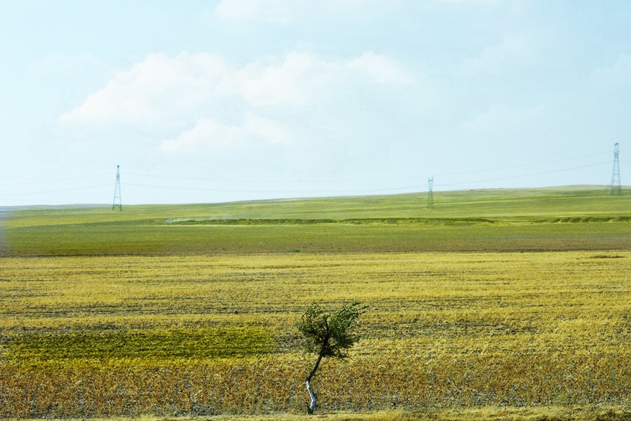 _DSC5178__.jpg