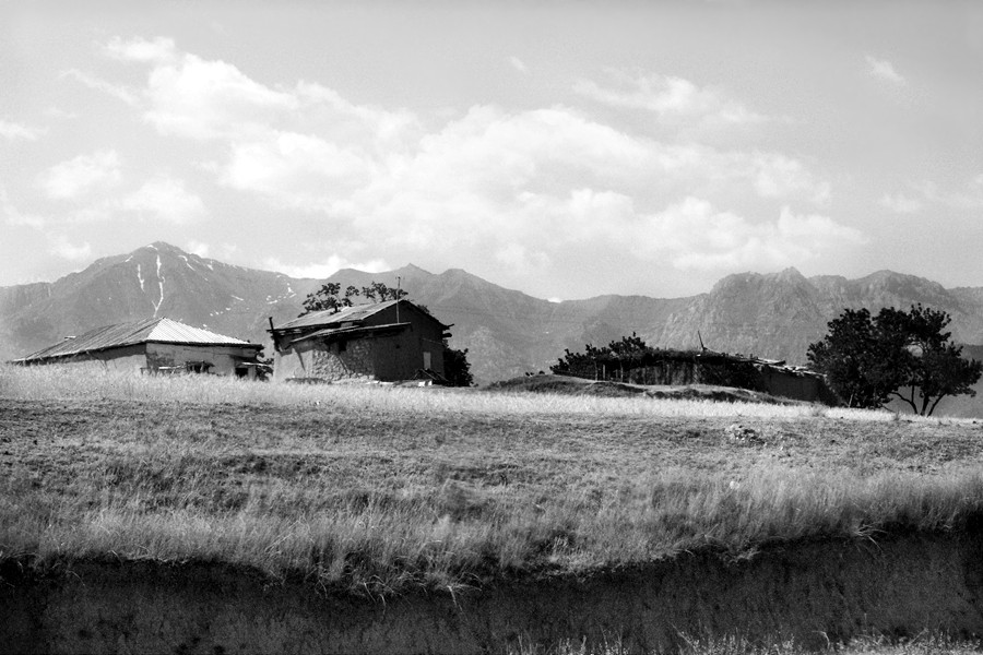 _DSC5215__.jpg