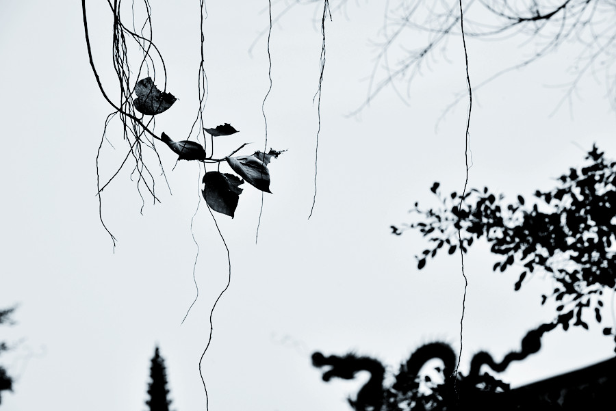 DSC_0028__.jpg
