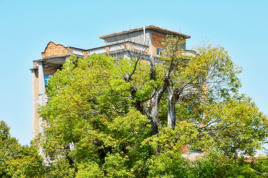 DSC_0194__.jpg