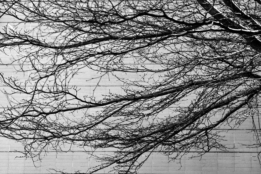 DSC_0222__.jpg
