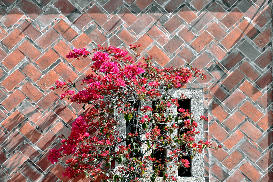 DSC_0239__.jpg