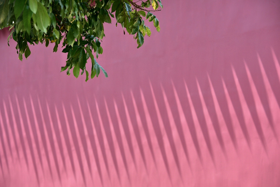 DSC_0494__.jpg