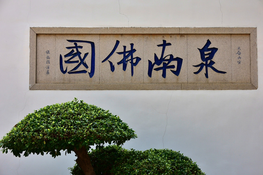 DSC_0531__.jpg
