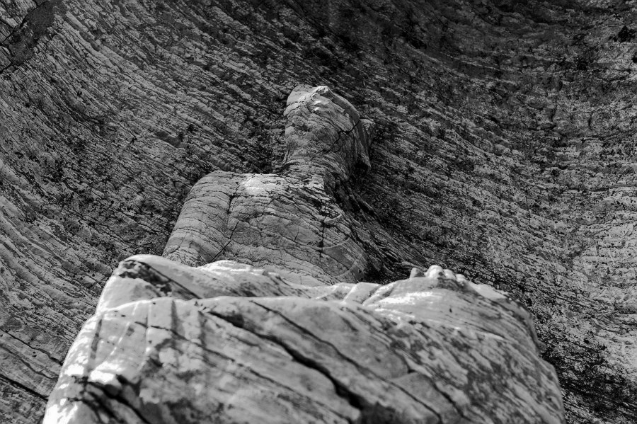 _DSC7902____.jpg