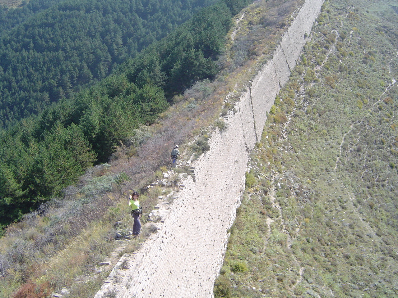 15472.JPG