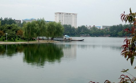 DSC_0013.jpg