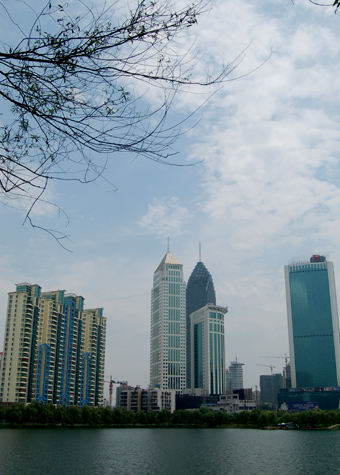 DSC_0029.jpg