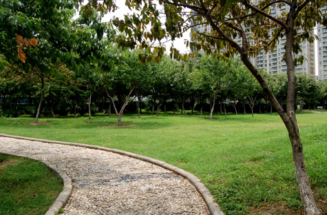 DSC_0016.jpg