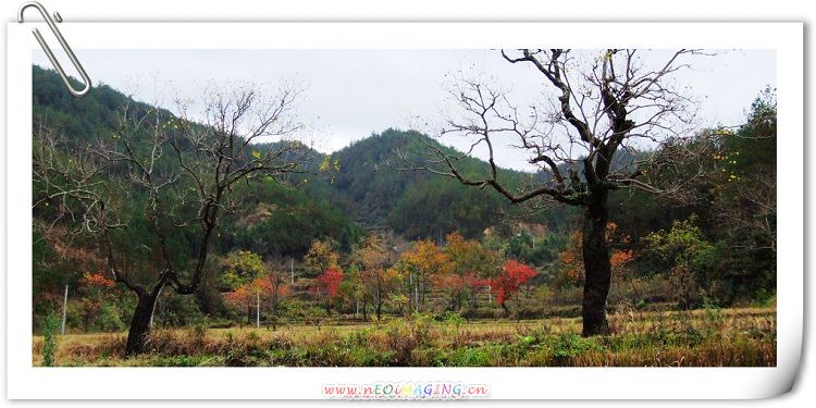 DSCF5538.JPG