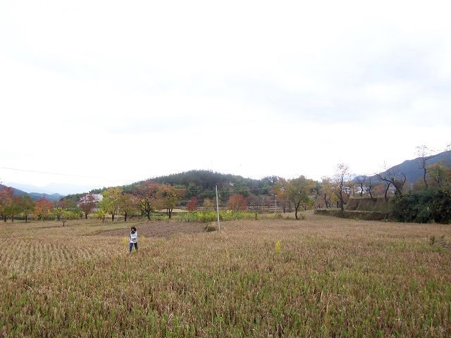 100_2465.JPG