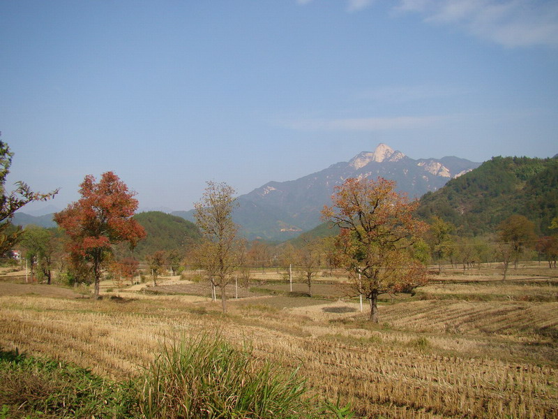 DSC01722a.JPG