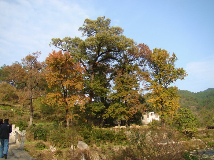 DSC01788a.JPG