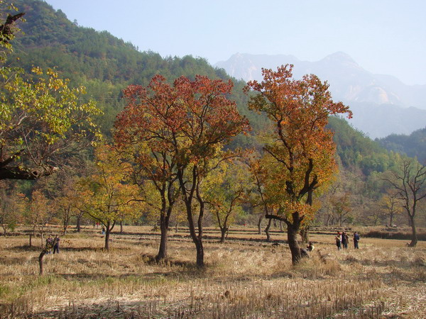 DSC01701a.JPG