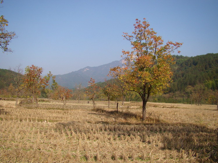 DSC01686a.JPG