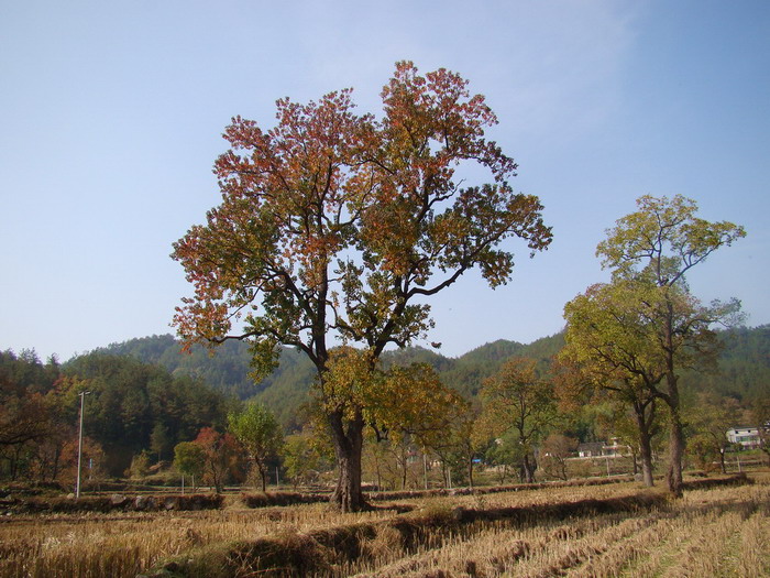 DSC01675a.JPG