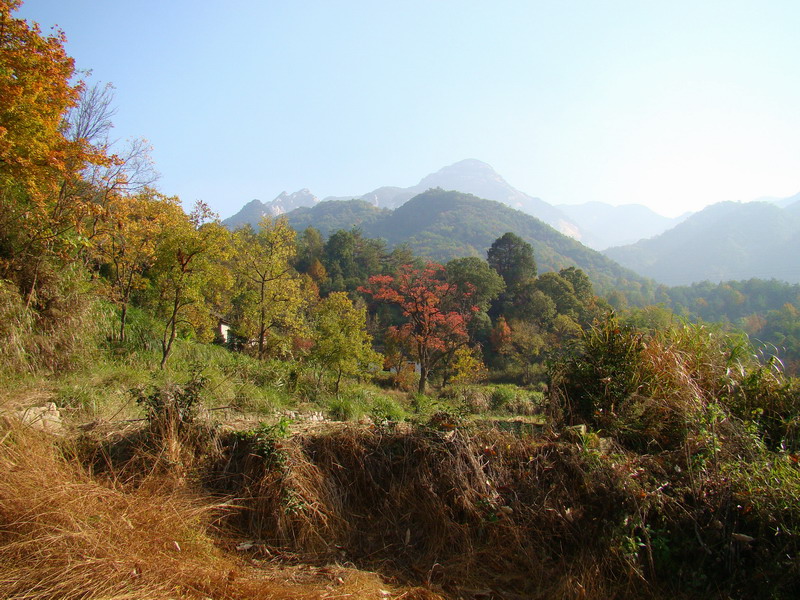 DSC01667a.JPG