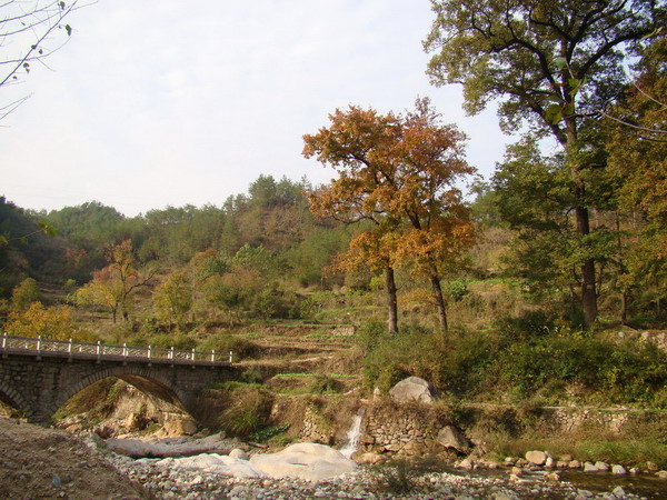 DSC01782a.JPG
