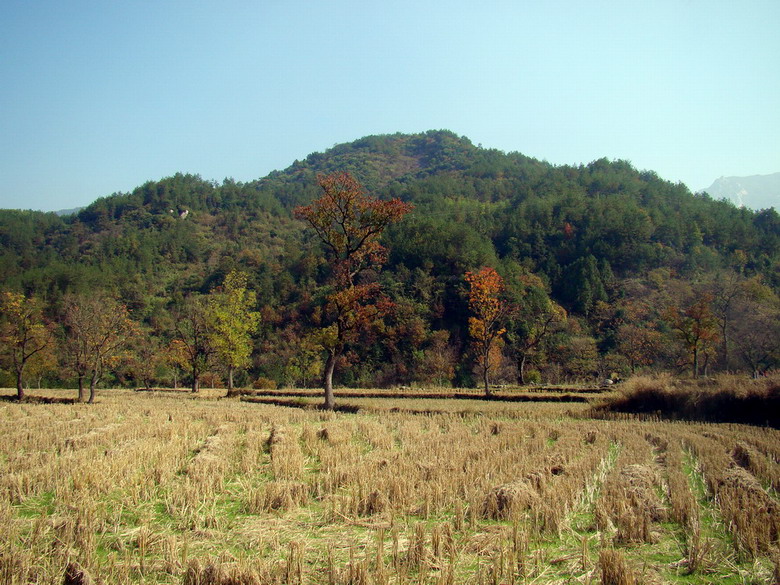 DSC01673a.JPG