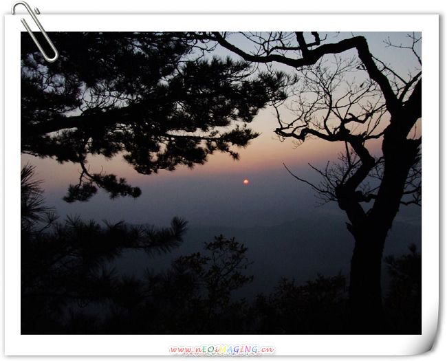 DSCF5645.JPG