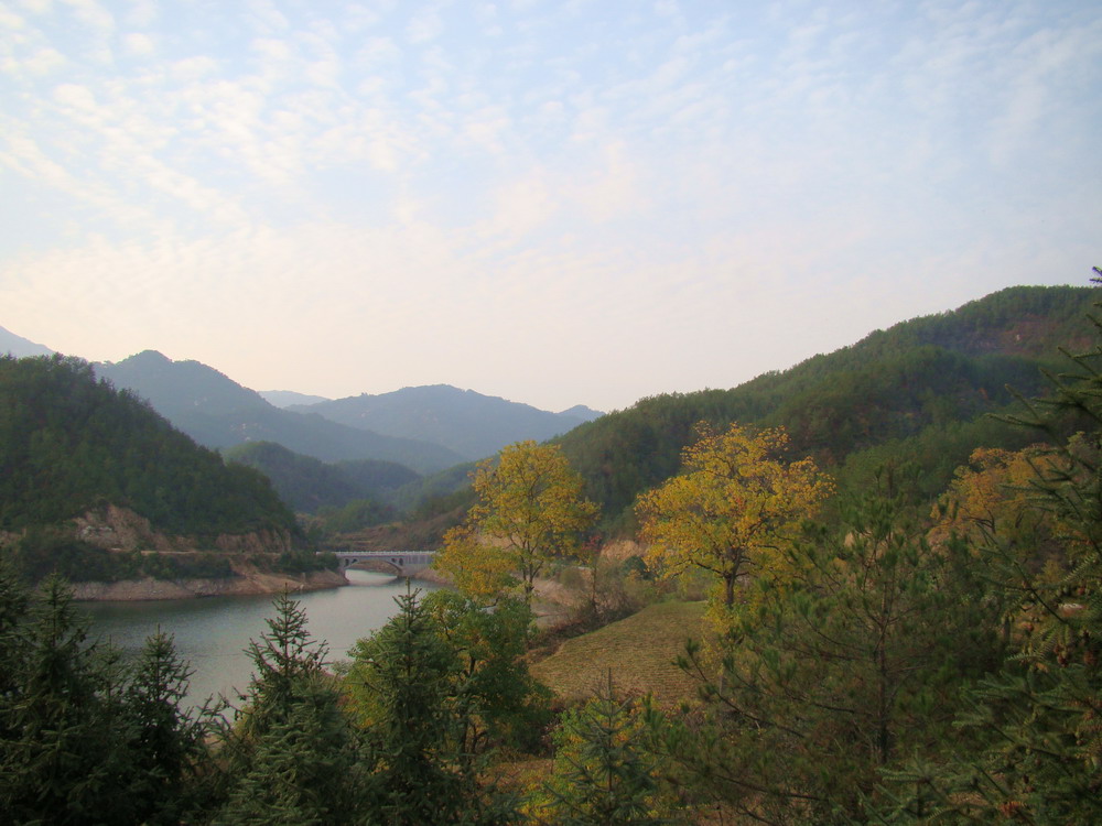 DSC01804a.JPG