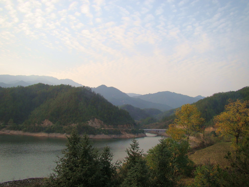 DSC01803a.JPG