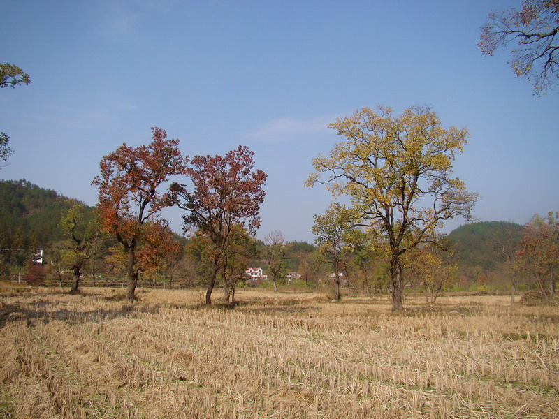 DSC01676a.JPG