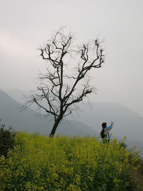 DSCN6546.jpg
