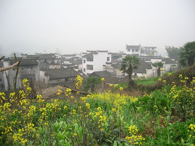 DSCN6325.jpg