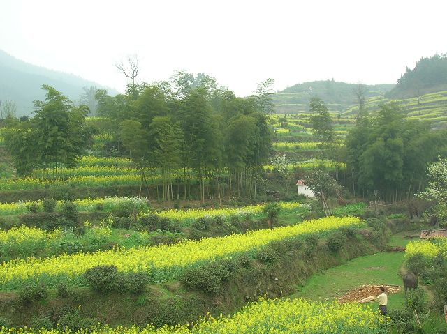 DSCN6562.jpg