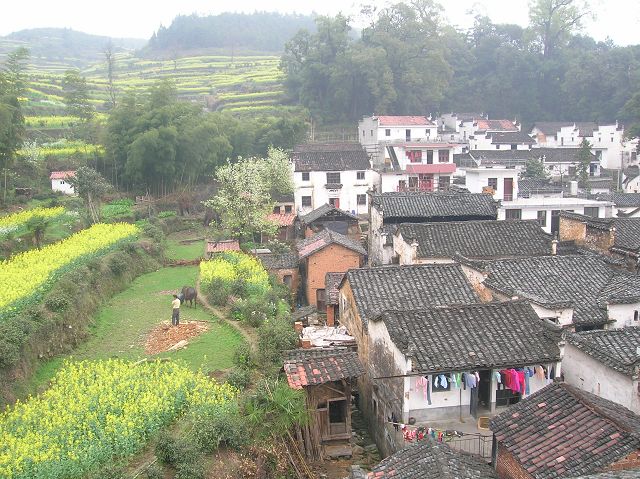 DSCN6565.jpg