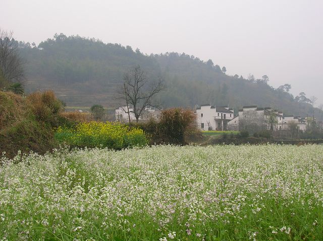DSCN6420.jpg