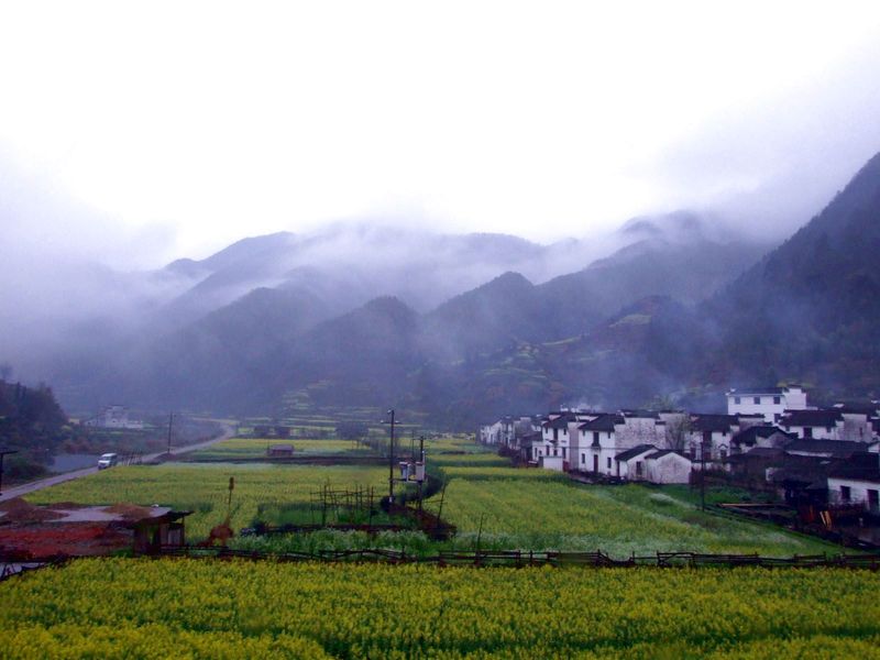 DSCF6116.jpg