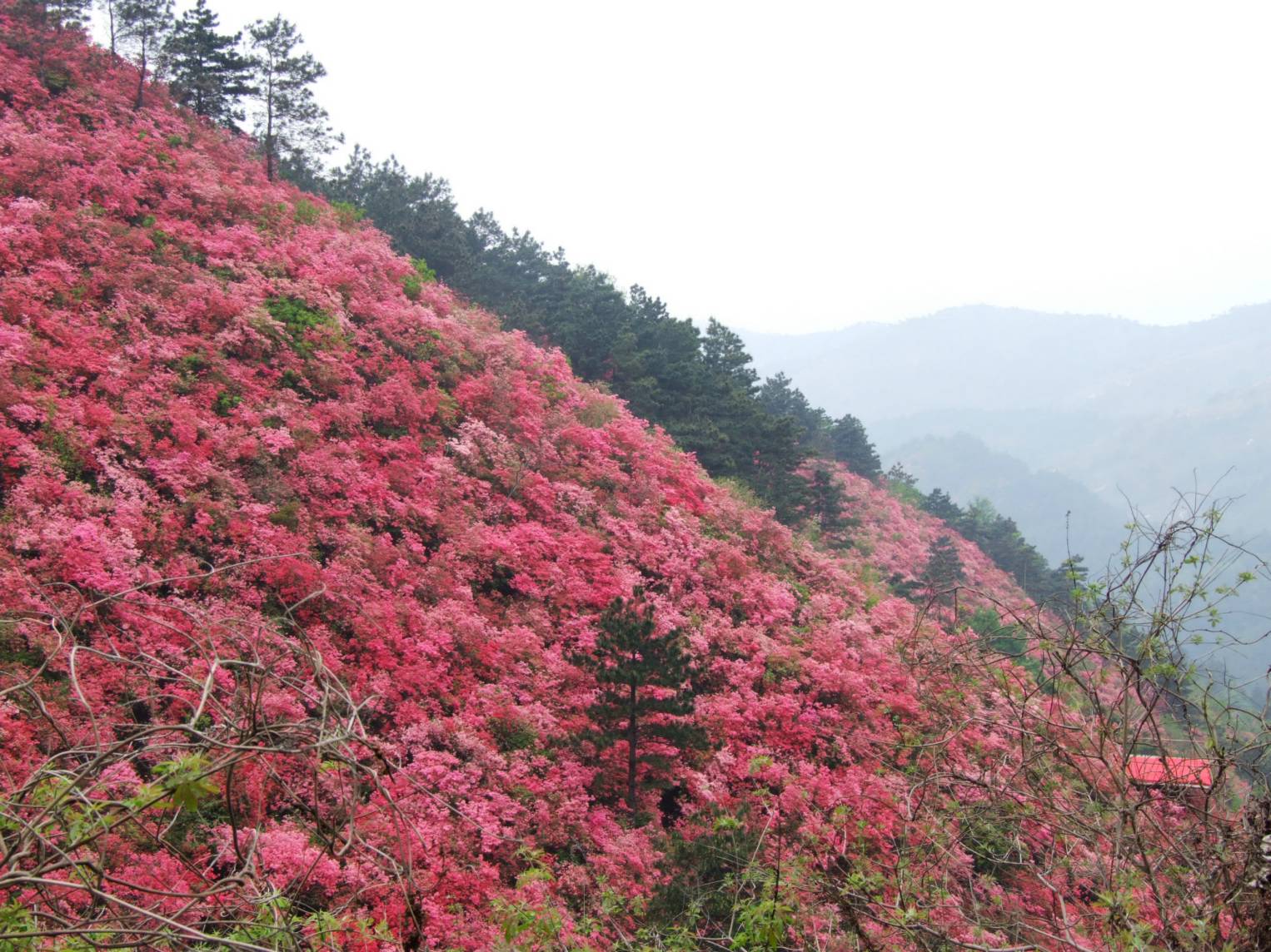 DSCF5328.jpg