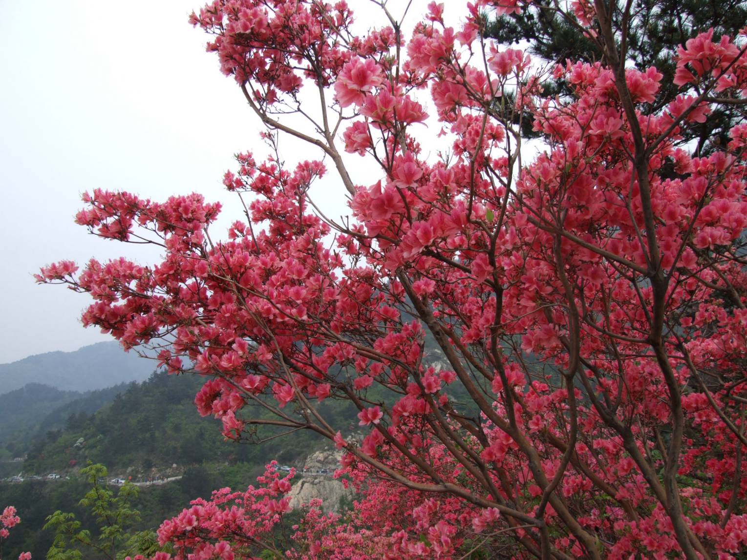 DSCF5345.jpg