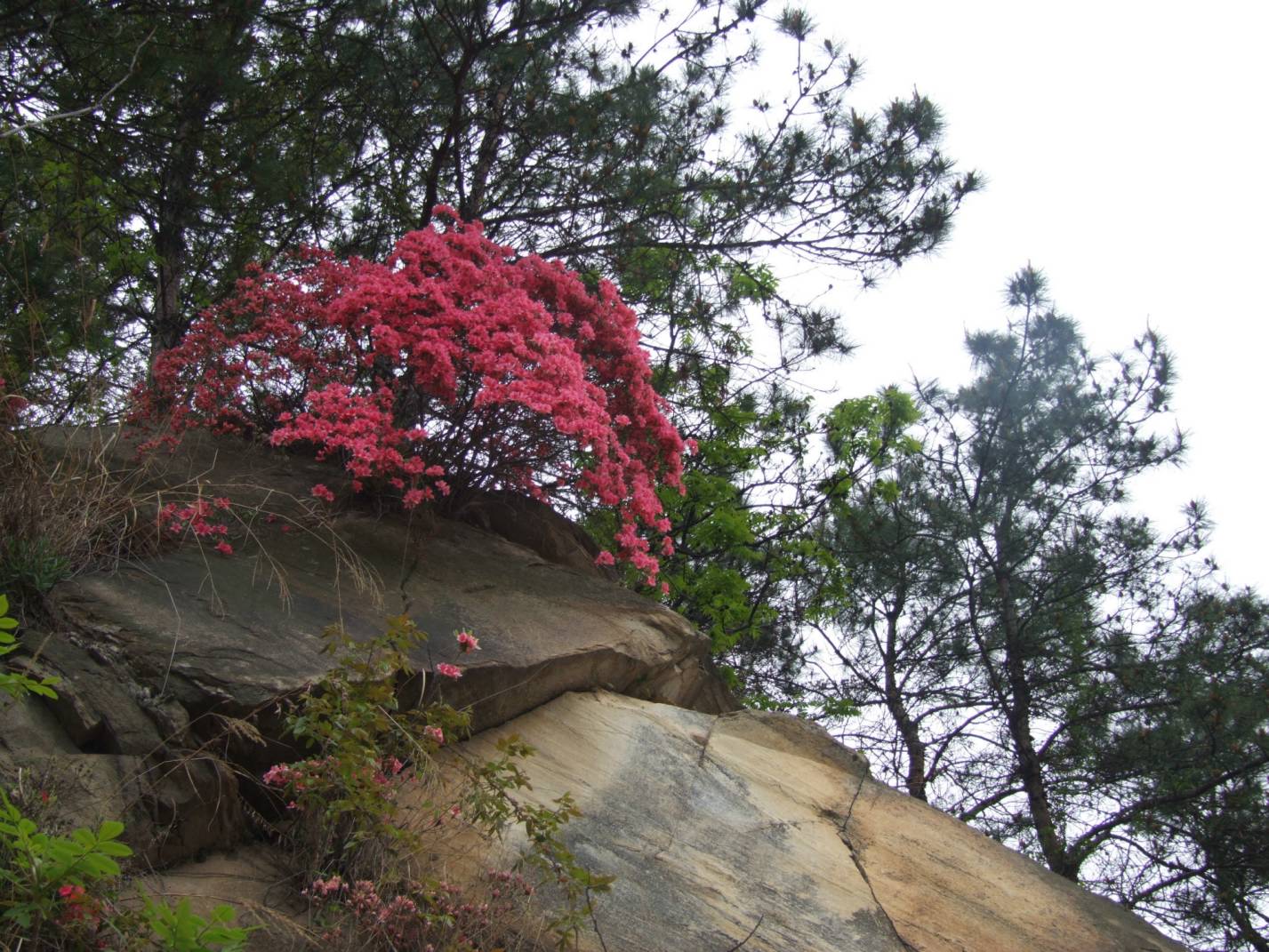 DSCF5314.jpg