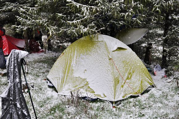DSC_0262.jpg