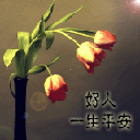 2005101995138.gif