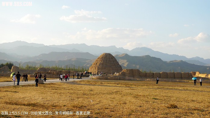 P1070560.jpg